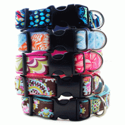 Caring For Your Dogs Neck and Spine Dog Collar Issues